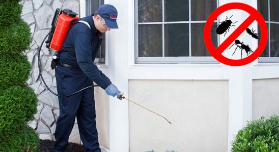 Derepazarı Bit İlaçlama böcek ilaçlama ve haşere kontrolü — ilaclama-tr.com